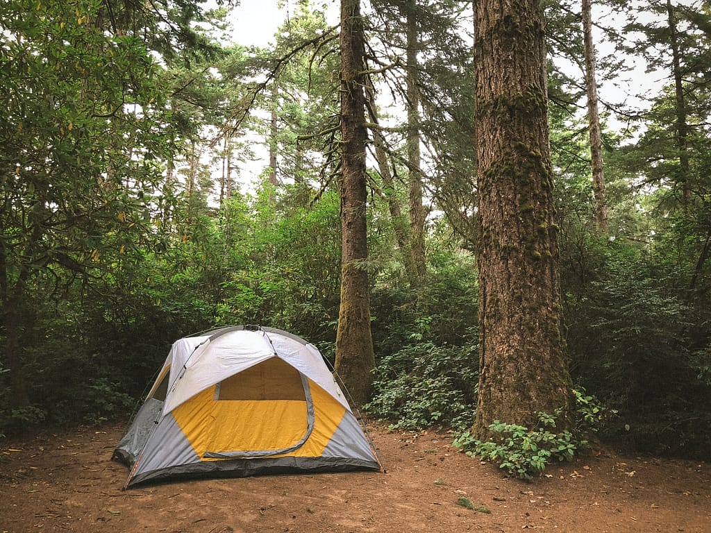 Orange/grey tent pitched on goof surface in a leaf forest